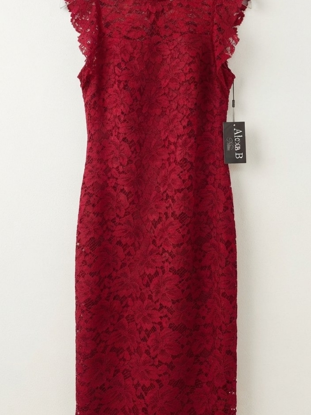 Red Lace Sheath Dress